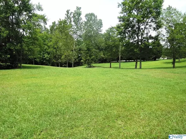 Crane Hill, AL 35053,488 County Road 4201