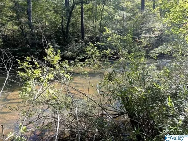 Talladega, AL 35160,000 Highway 77