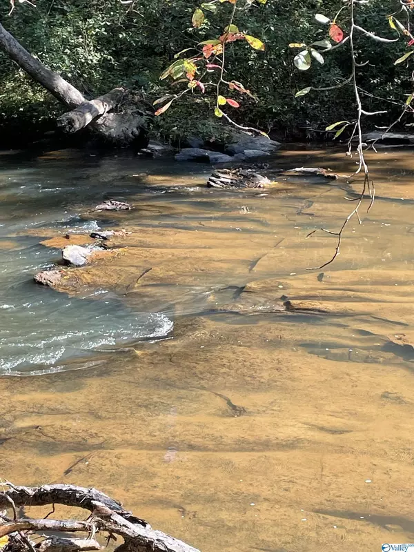 Talladega, AL 35160,000 Highway 77