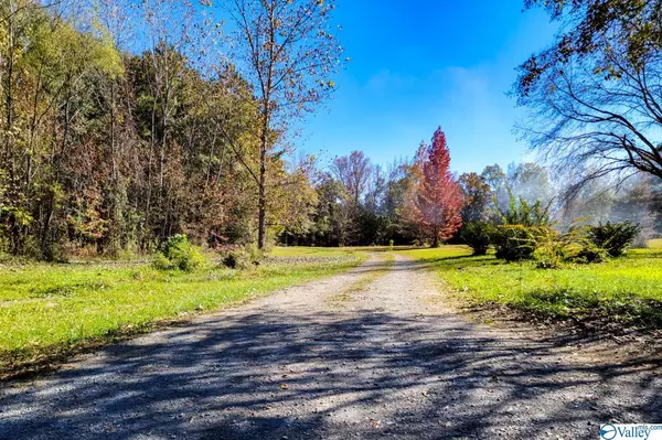 Moulton, AL 35650,17866 County Road 460