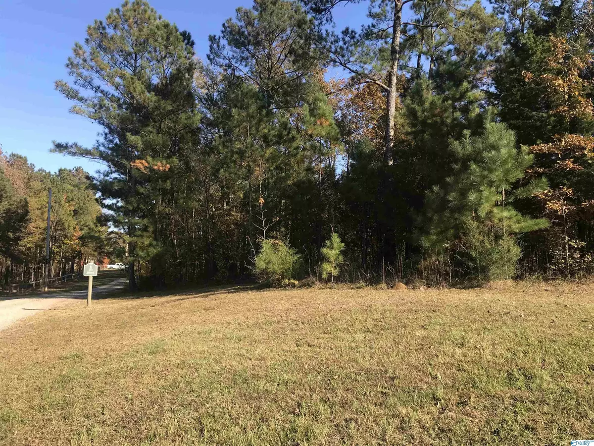 Cedar Bluff, AL 35959,Lot 12 County Road 642