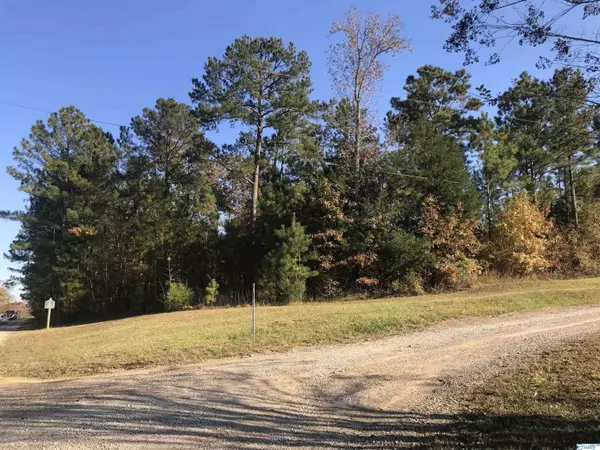 Cedar Bluff, AL 35959,Lot 12 County Road 642