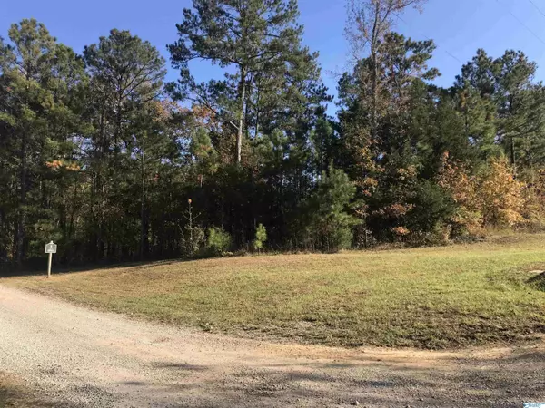 Cedar Bluff, AL 35959,Lot 12 County Road 642