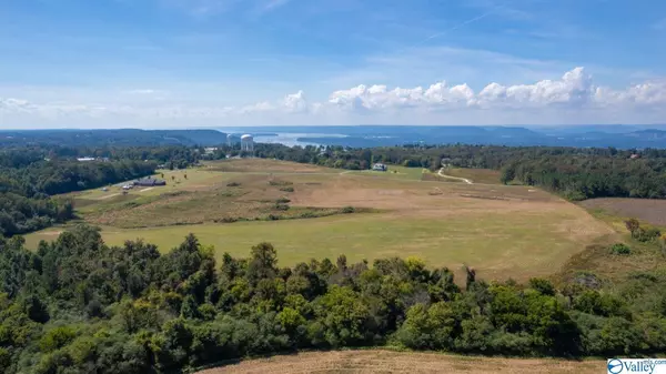 LOT 1 Main Street, Section, AL 35771