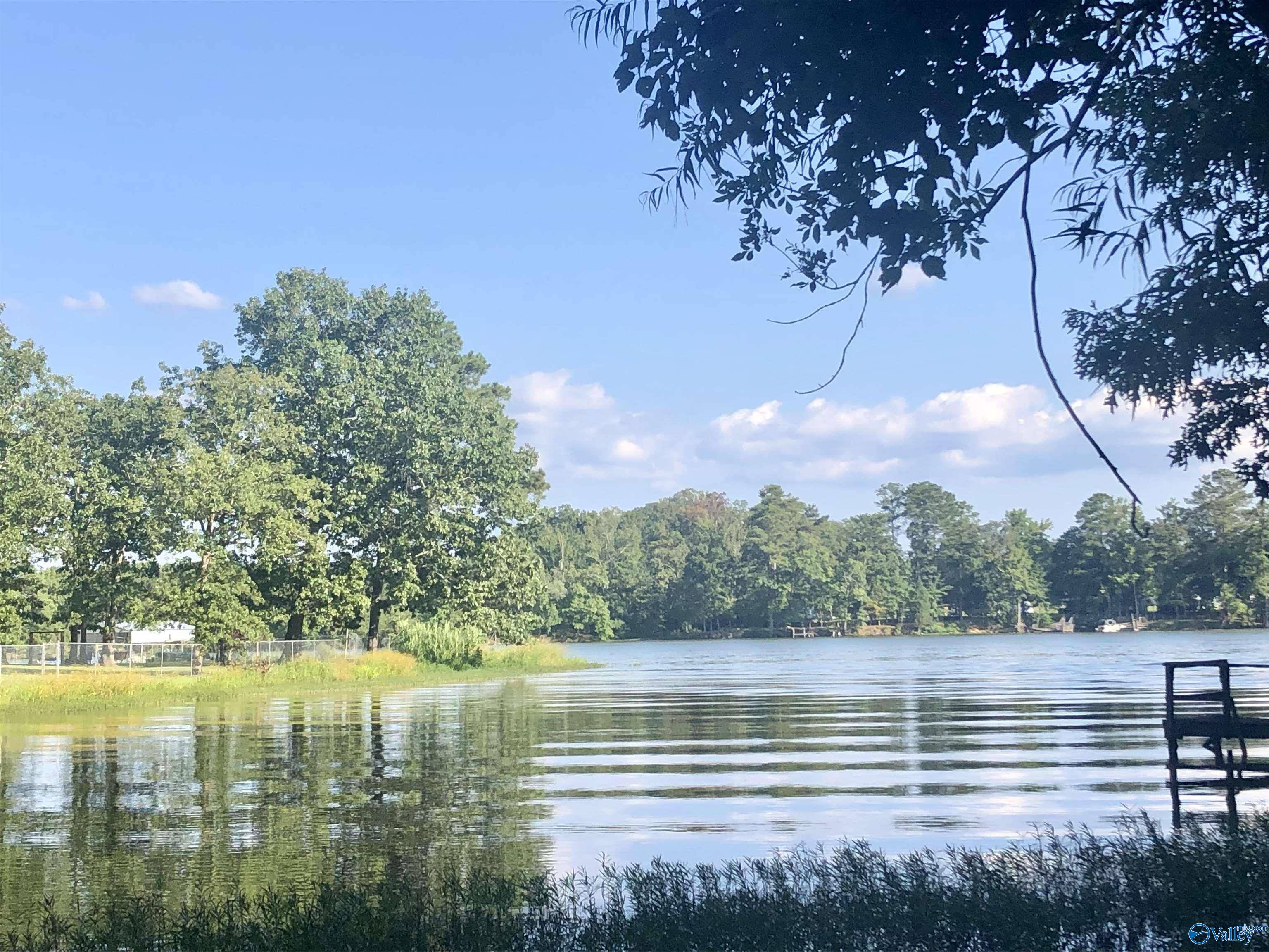 830 County Road 249, Leesburg, AL 35983
