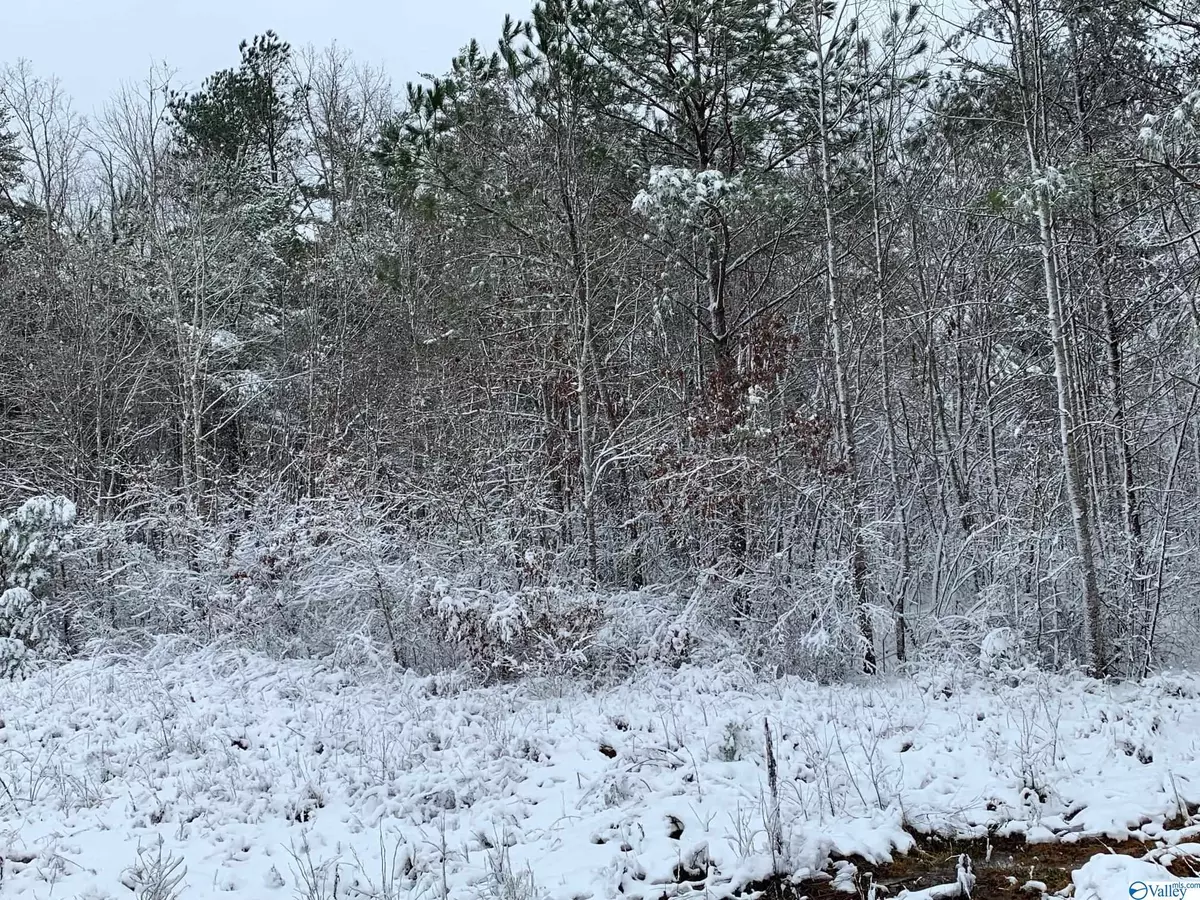 Mentone, AL 35984,lot 27 County Road 623