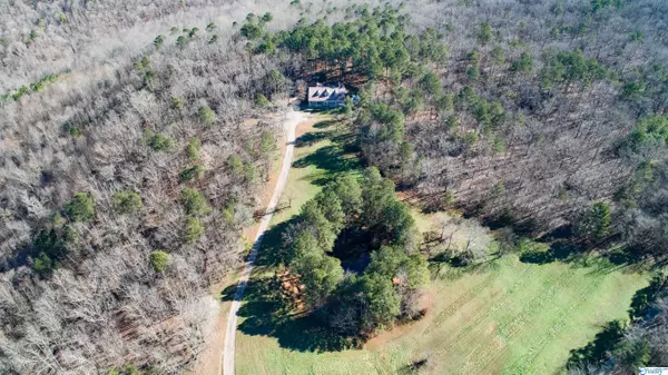 Baileyton, AL 35019,1161 Mardis Point Road