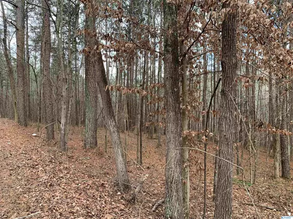 Gallant, AL 35972,0 Bull Hollow Road