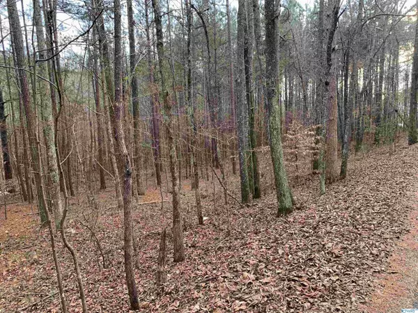 Gallant, AL 35972,0 Bull Hollow Road