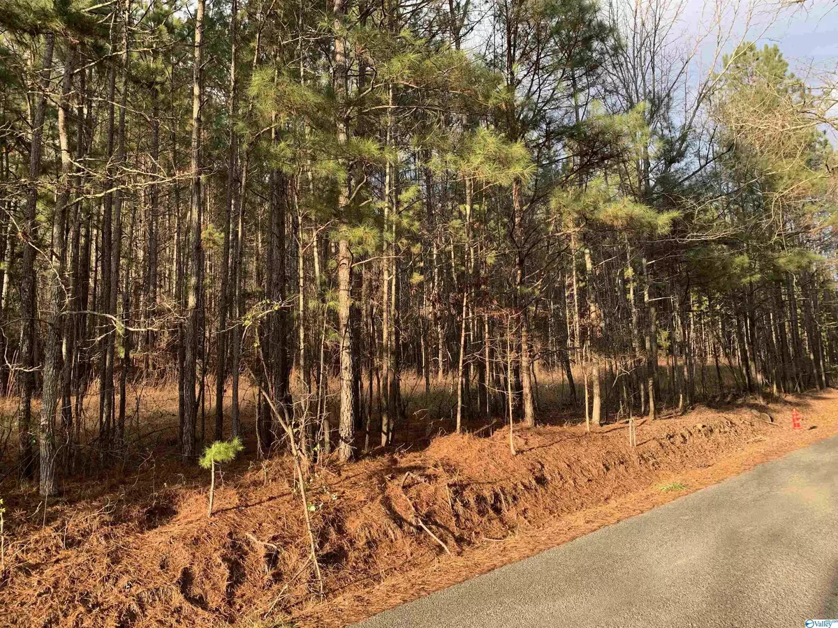 Gallant, AL 35972,0 Bull Hollow Road