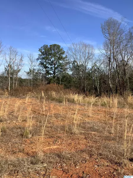 1241 Gravel Ridge Road, Somerville, AL 35670