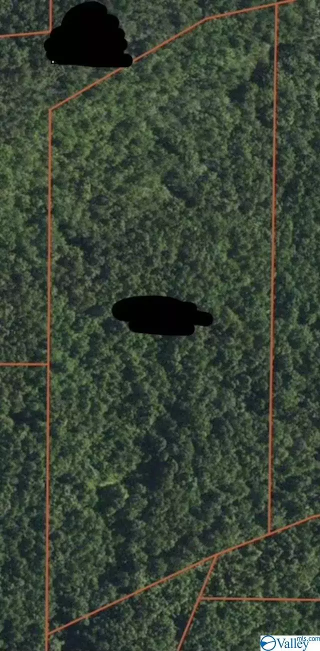 Gallant, AL 35972,1 Bull Hollow Road