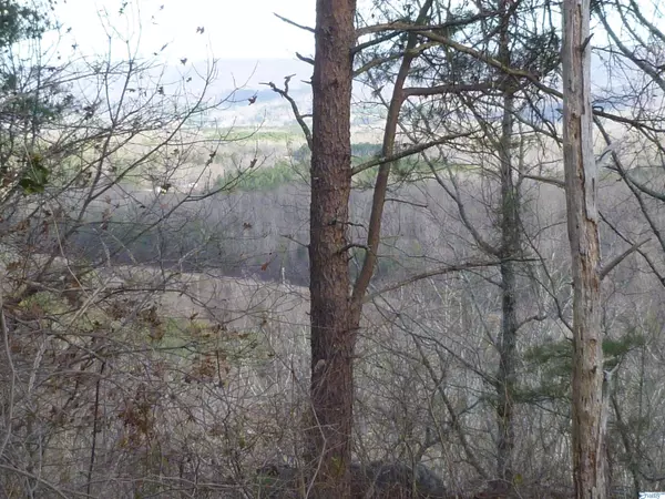 Fort Payne, AL 35968,126 County Road 1010