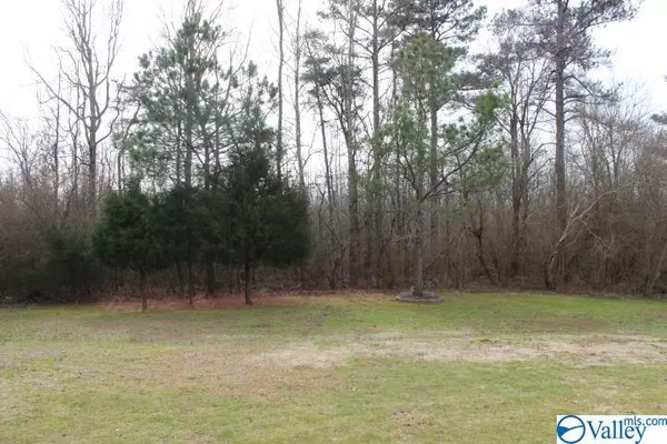 Grove Oak, AL 35975,937 County Road 394