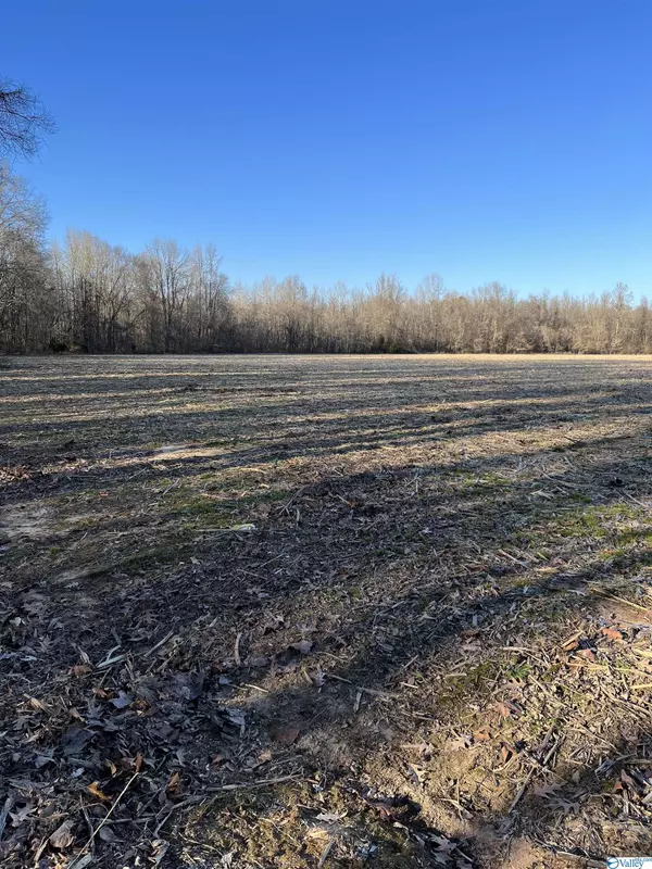 Somerville, AL 35670,10 acres E Upper River Road