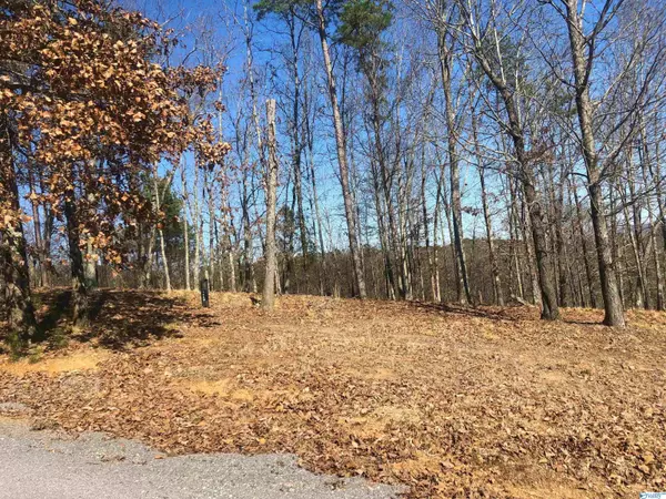 Cedar Bluff, AL 35959,Lot 19 County Road 767