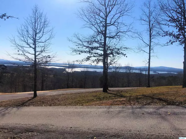 Cedar Bluff, AL 35959,Lot 19 County Road 767