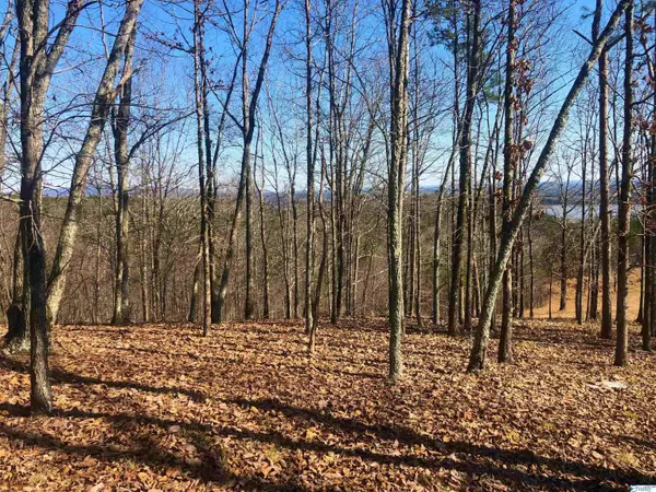 Cedar Bluff, AL 35959,Lot 19 County Road 767