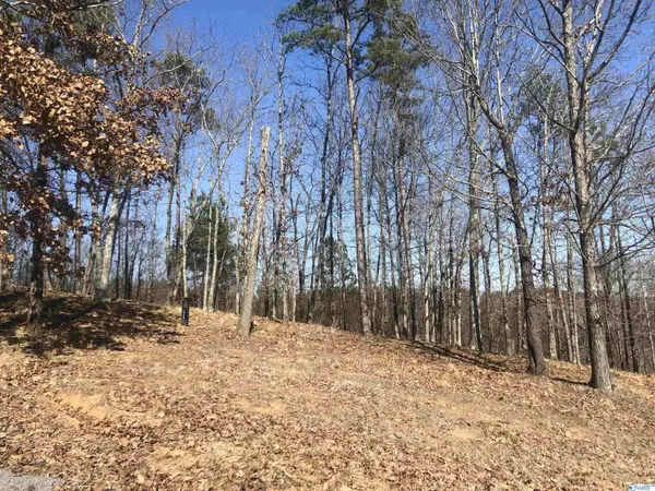 Cedar Bluff, AL 35959,Lot 19 County Road 767