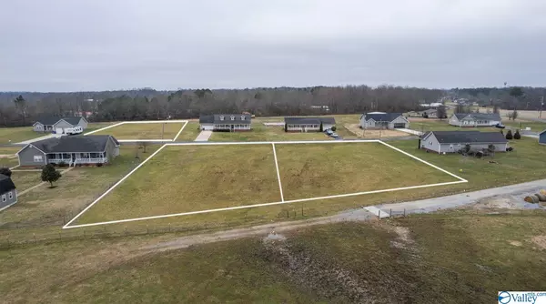 Fyffe, AL 35971,LOT 12 Graben Drive