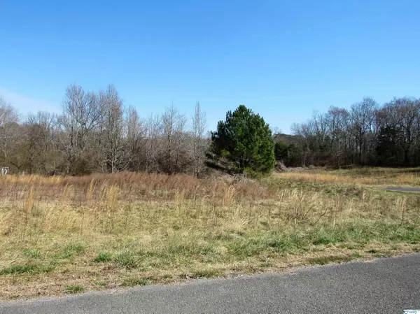 Fort Payne, AL 35968,399 County Road 1010 #Lot 47