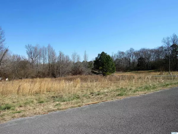 Fort Payne, AL 35968,399 County Road 1010 #Lot 47