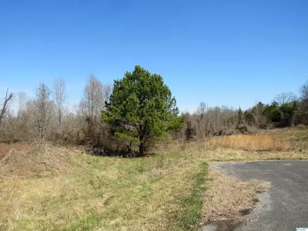 Fort Payne, AL 35968,399 County Road 1010 #Lot 47