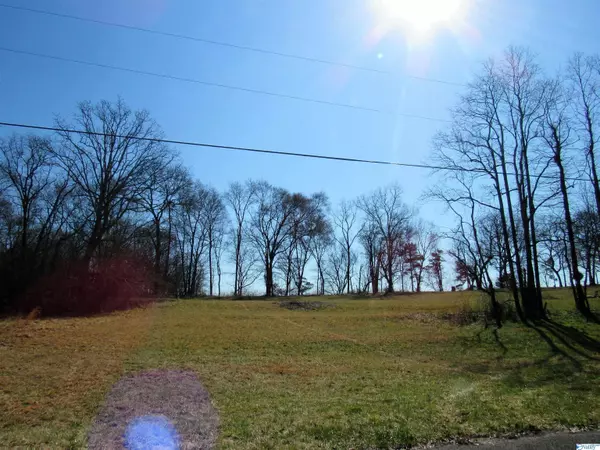 Fort Payne, AL 35968,399 County Road 1010 #Lot 47