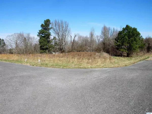 Fort Payne, AL 35968,399 County Road 1010 #Lot 47