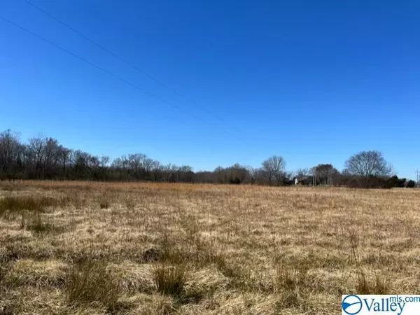 Mount Hope, AL 35650,00 County Road 110