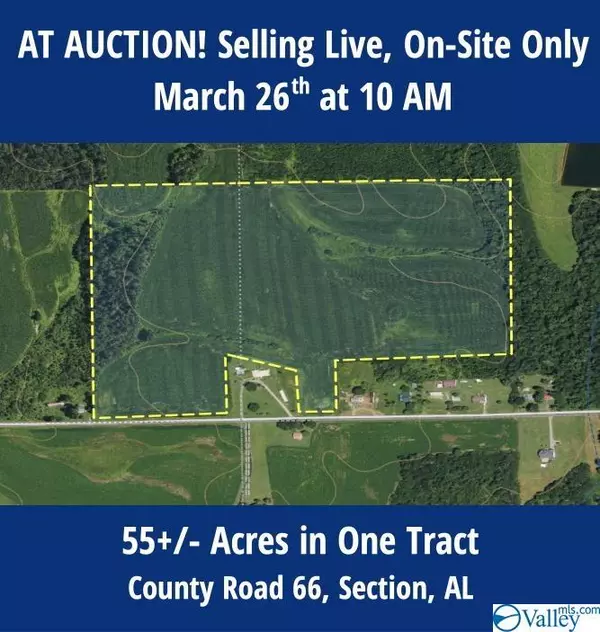 0 County Road 66, Section, AL 35771