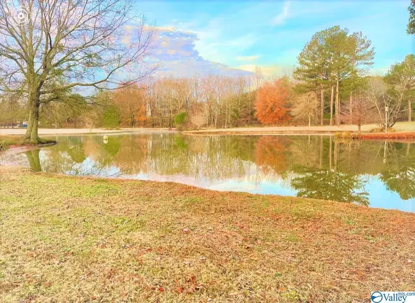 3033 County Road 173, Moulton, AL 35650