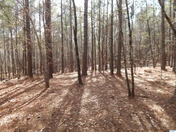 Chelsea, AL 35043,42 Acres Pin Oak