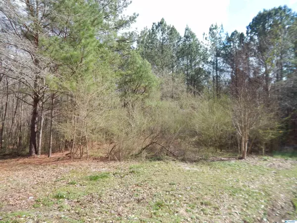 Chelsea, AL 35043,42 Acres Pin Oak