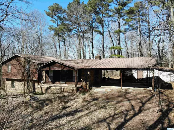 Grant, AL 35747,439 Swearengin Road