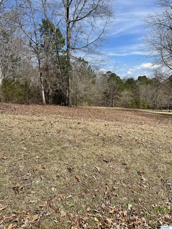 Lot 13 Spindletop Drive,  Guntersville,  AL 35976