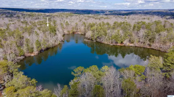 338 Moon Lake Road, Mentone, AL 35984