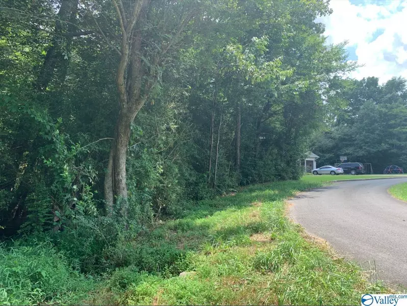 Elaine Drive NE, Fort Payne, AL 35967