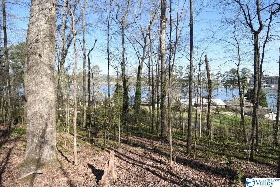 022 Wyeth Drive, Guntersville, AL 35976