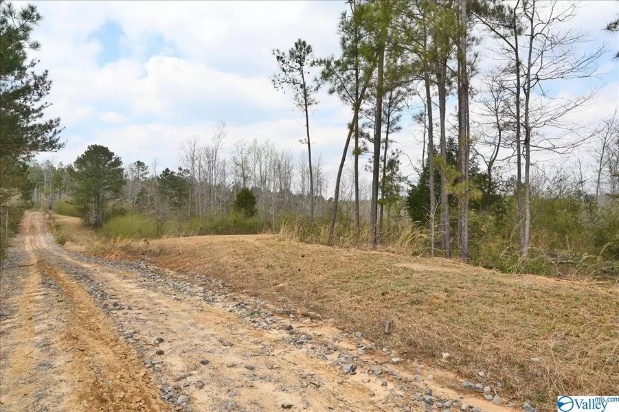 00 County Road 1058, Vinemont, AL 35179