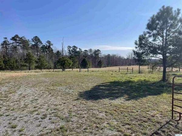 Fort Payne, AL 35967,2500 Wallace Avenue NE