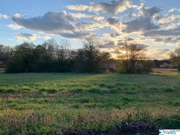 Lot 6 Mountain Dale Circle, Section, AL 35771