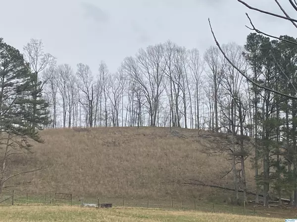 Goodspring, TN 38460,0 Powell School Road