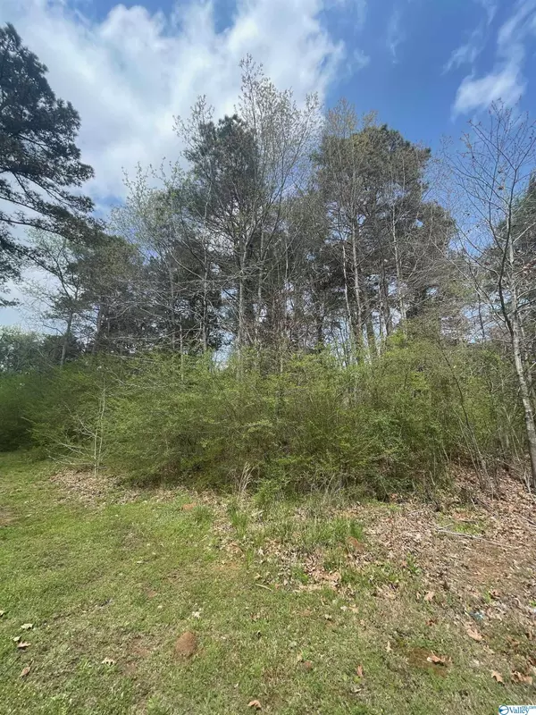 Lot 16 Mcdonald Road, Guntersville, AL 35976