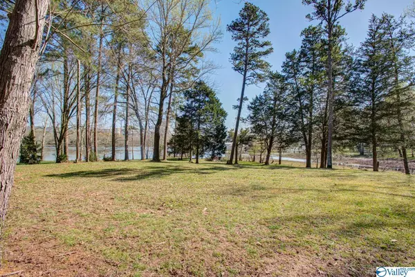 Hollywood, AL 35752,319 River Drive