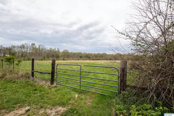 Elora, TN 37328,0 John Hunter Hwy