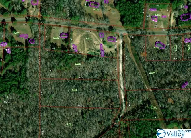 Scenic Avenue, Leesburg, AL 35983