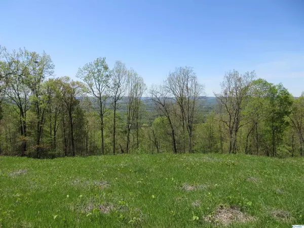 Flat Rock, AL 35966,44 Highway 117