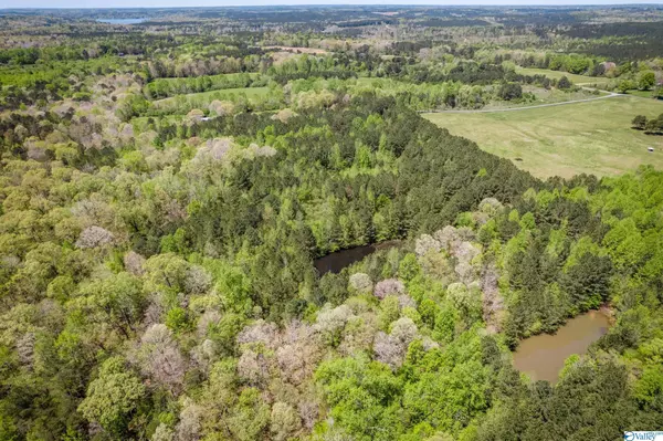 Arley, AL 35541,30 Acres Bassinger Road