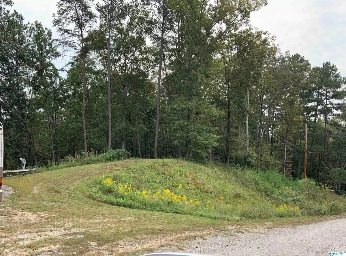 Arley, AL 35541,000 White Oak Road